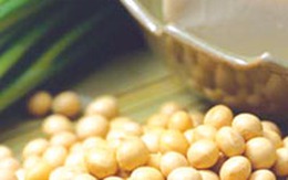 Tác dụng chữa bệnh của đậu nành